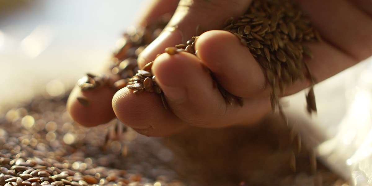 Craft pivo iz srca Slavonije — Pivovara Kaptol